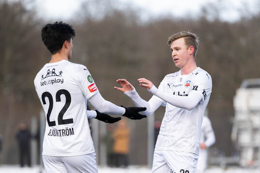 Helsingborgs William Westerlund och Max Bjurström jublar