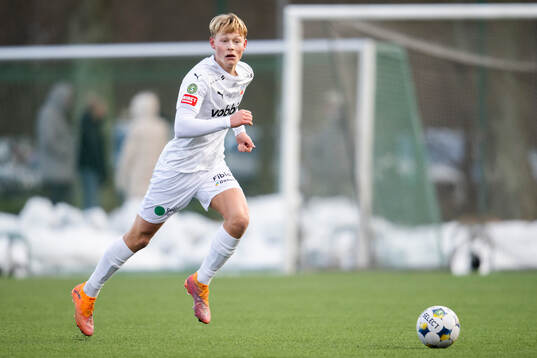 Helsingborgs Alvin Nordin