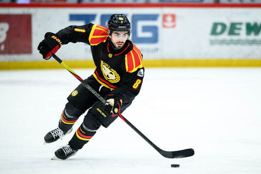 Brynäs Bobby Trivigno