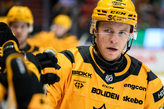 Skellefteås Rickard Hugg jublar