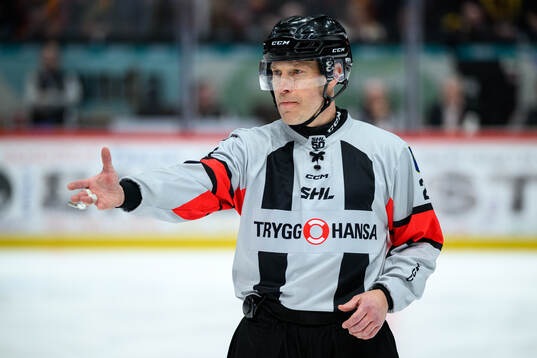 Domare Tobias Björk