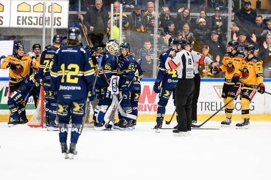 HV71s spelare jublar