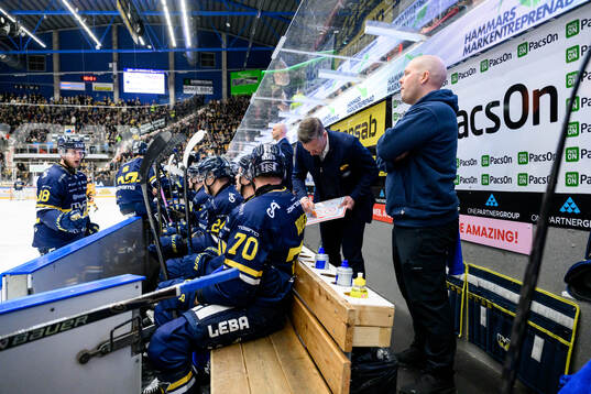 HV71s tränare Anton Blomqvist