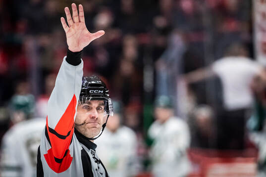 Domare Richard Magnusson