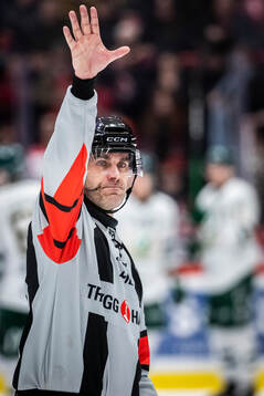 Domare Richard Magnusson