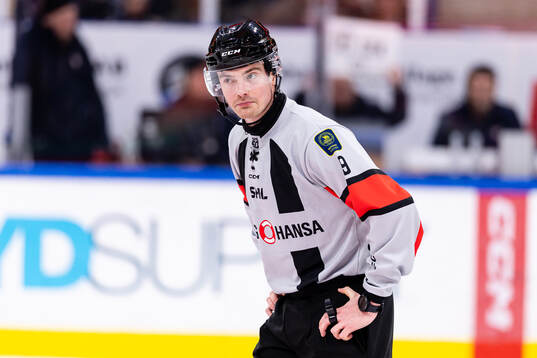 Domare Filip Eriksson