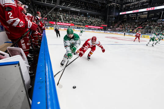 Rögles Daniel Zaar och Timrås Magnus Pääjärvi