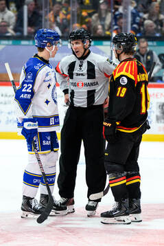 Leksands Lukas Vejdemo, Domare Linus Öhlund och Brynäs