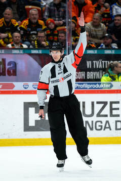 Domare Linus Öhlund