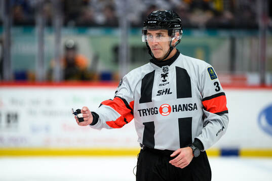 Domare Linus Öhlund