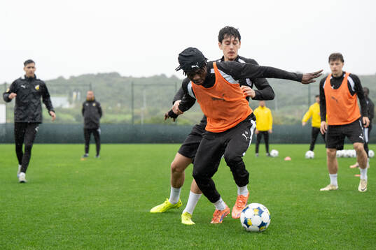 Severin Nioule och Malte Ljungkull