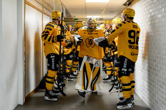 Skellefteås målvakt Strauss Mann införishockeymatchen i
