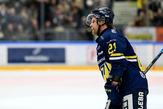 HV71s Mattias Tedenby jublar