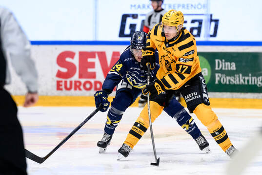 HV71s Hampus Eriksson och Skellefteås Pär Lindholm
