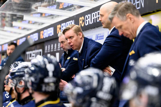 HV71s tränare Anton Blomqvist