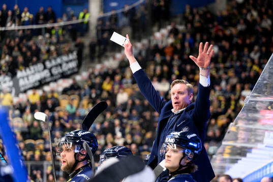 HV71s tränare Anton Blomqvist