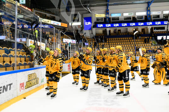 Skellefteås spelare jublar
