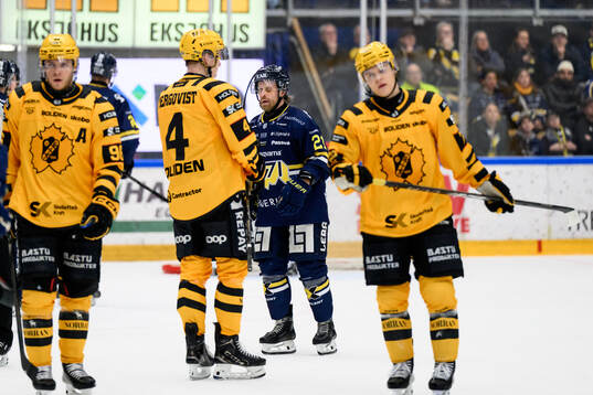 HV71s Mattias Tedenby