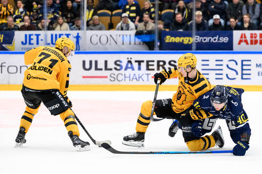 Skellefteås Jonathan Davidsson, Zeb Forsfjäll och HV71s