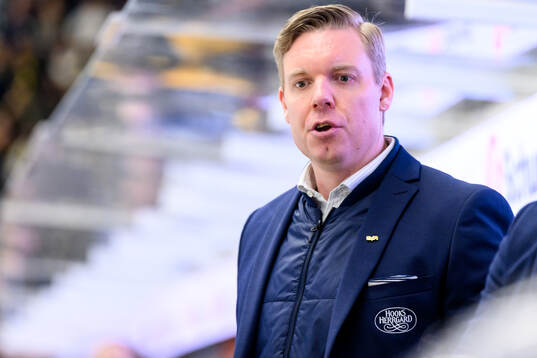 HV71s tränare Anton Blomqvist