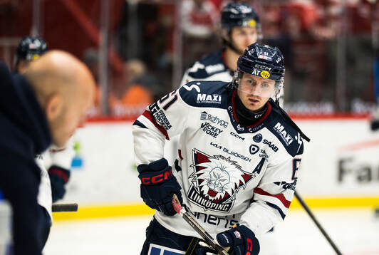 Linköpings Markus Ljungh