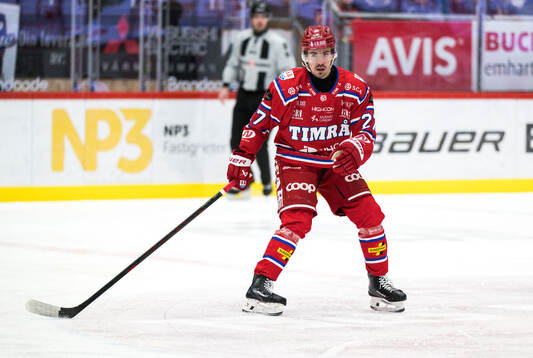 Timrås Ludvig Levinsson