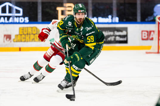 Björklövens Theoklis Theocharidis