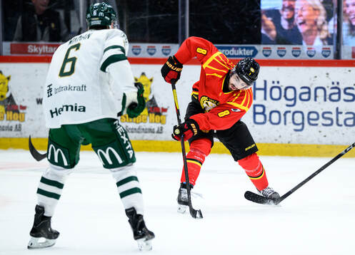 Brynäs Bobby Trivigno