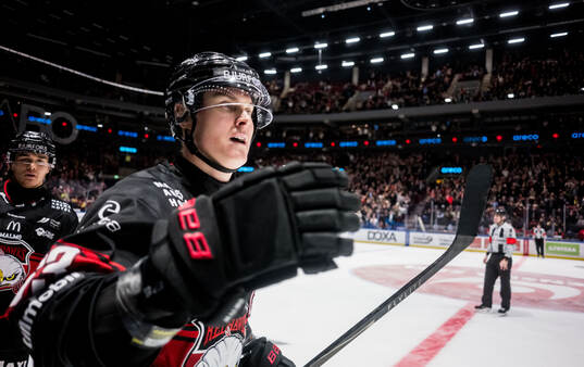 Malmö Redhawks Fredrik Händemark jublar