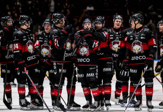 Malmö Redhawks spelare jublar