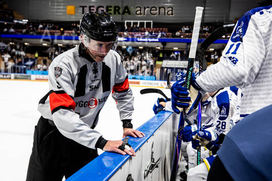 Domare Linus Öhlund