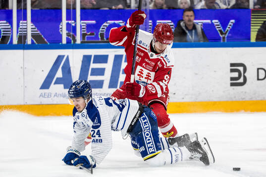 Leksands Arvid Eljas
