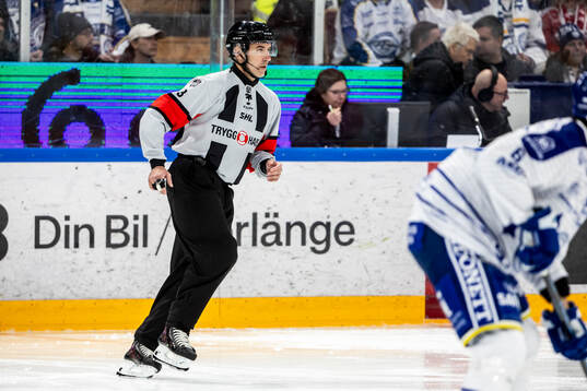 Domare Linus Öhlund