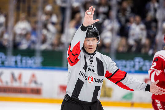 Domare Linus Öhlund