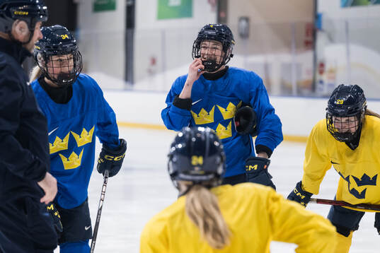 Mira Hallin, Linnea Andersson and Felizia Wikner