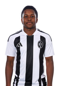 Landskronas Christian Stark