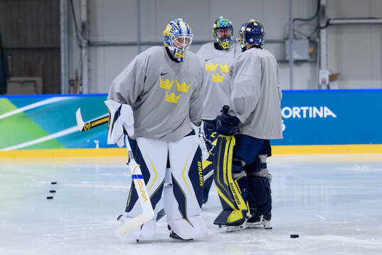 Oliver Ekman-Larsson, goaltender Jacob Markström and