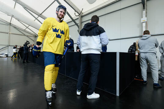 Oliver Ekman-Larsson of Sweden