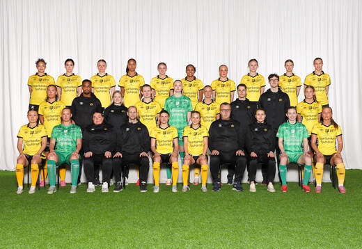 Elfsborg IF Elfsborg