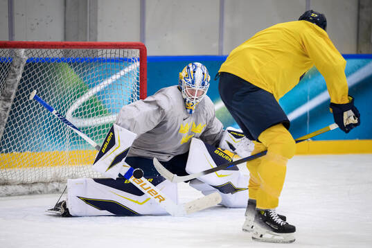 Goaltender Jesper Wallstedt and Hampus Lindholm of Sweden