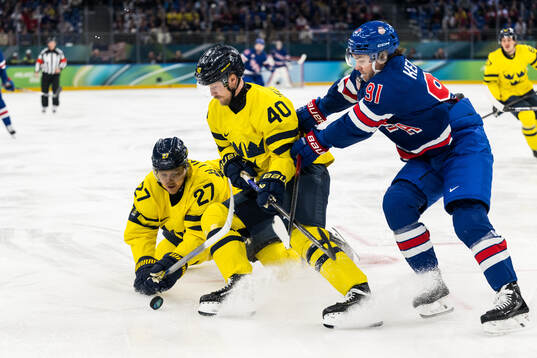 Hampus Lindholm and Elias Pettersson of Sweden as well as