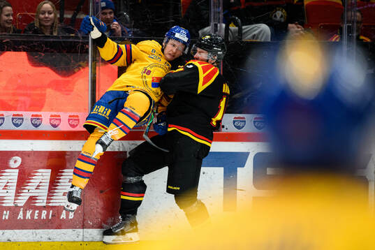 Djurgårdens Mathias Emilio Pettersen och Brynäs Robert