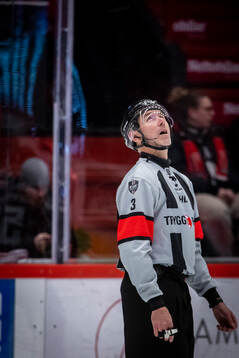 Domare Linus Öhlund