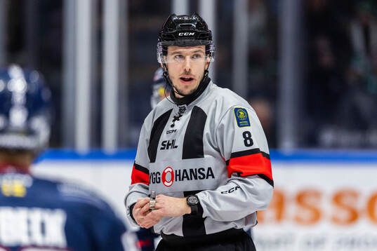 Domare Oscar Niklasson