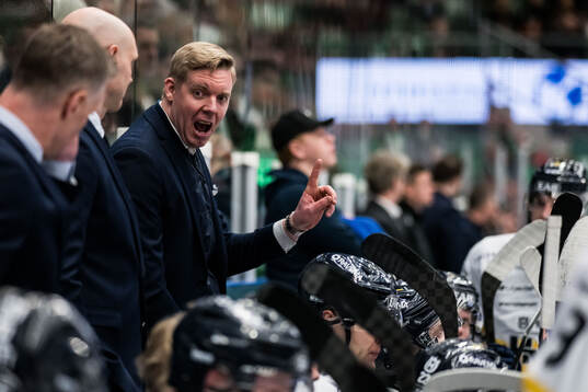 HV71s tränare Anton Blomqvist