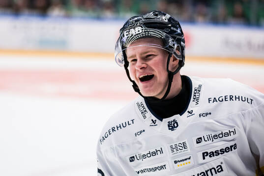 HV71s Martin Johnsen jublar