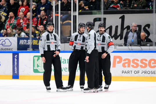 Linjedomare Örjan Åhlén, Domare Johan Wedin, Linjedomare