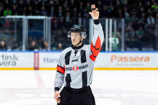 Domare Linus Öhlund