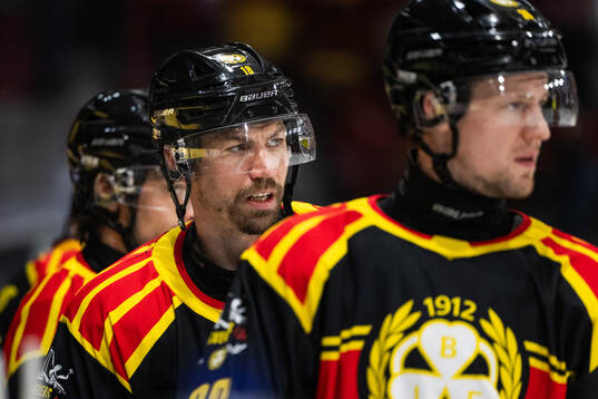 Brynäs Anton Rödin