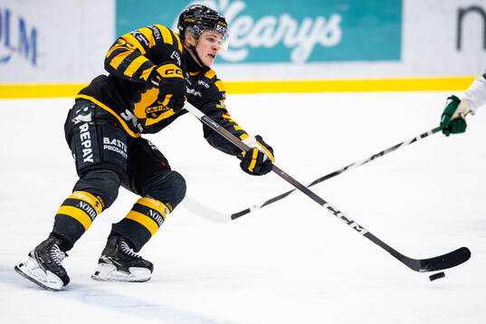 Skellefteås Zeb Forsfjäll